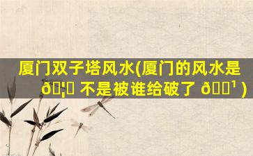 厦门双子塔风水(厦门的风水是 🦉 不是被谁给破了 🌹 )